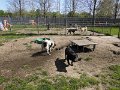afb_20160506 (50)